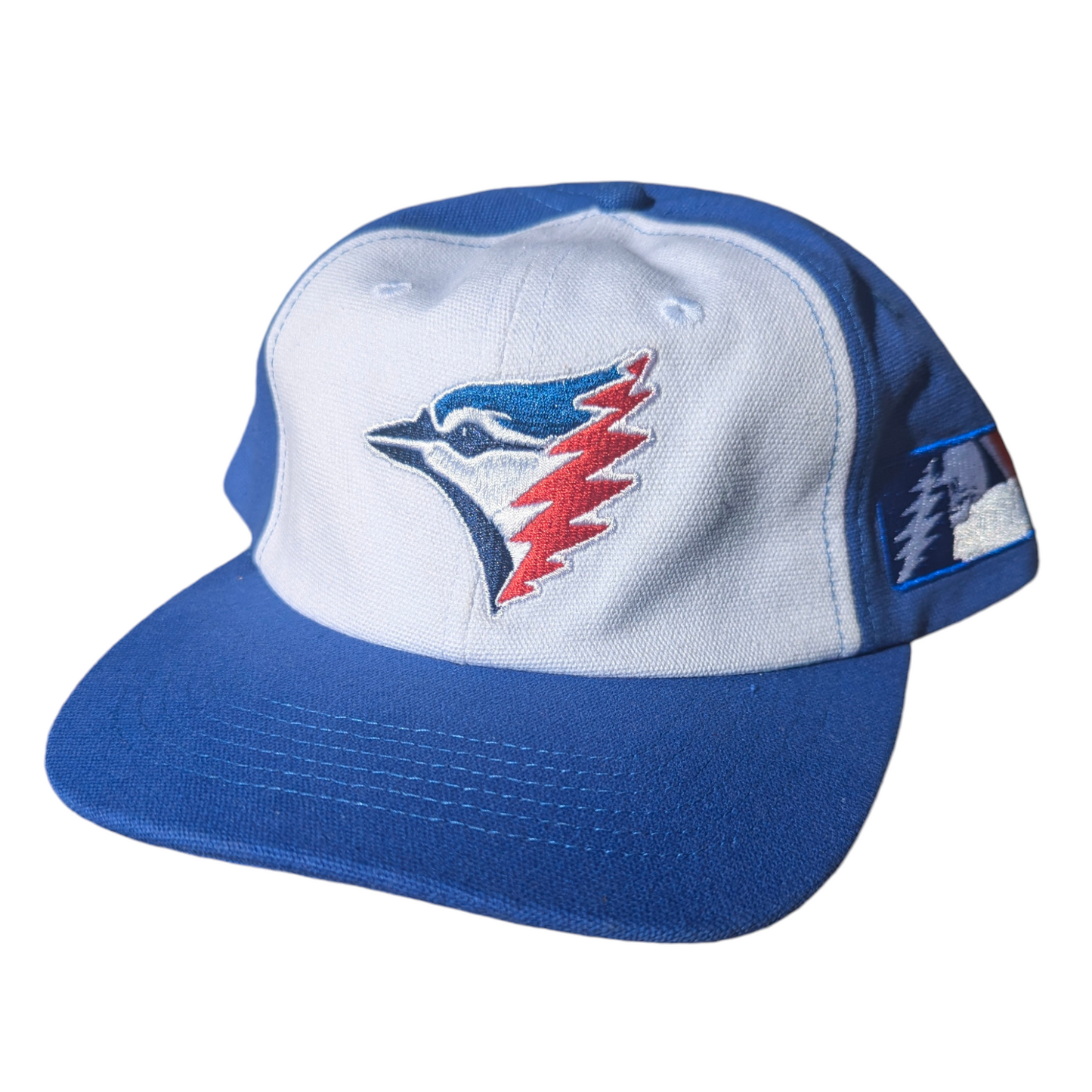 Dead + Blue Jays Hat