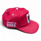 Fishers Indiana Bluegrass 2026 Hat