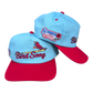 Bird Song Cardinals Baseball Hat