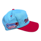 Bird Song Cardinals Baseball Hat