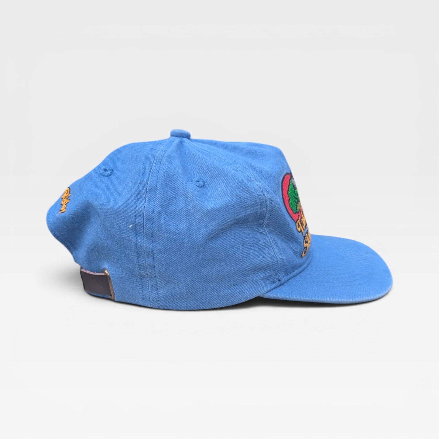 Takin' A Slow Train Hat