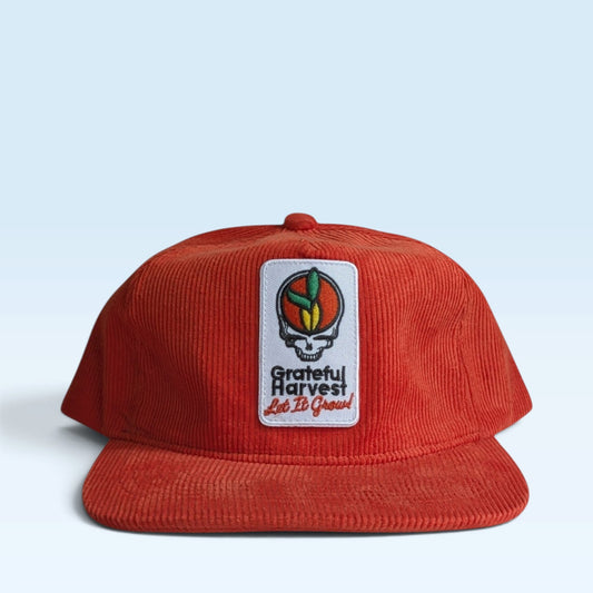 Golden Harvest + Grateful Dead Corduroy