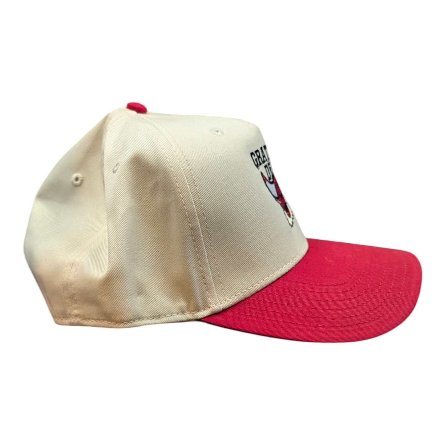 Chicago Bulls + Dead Two Tone Red Hat