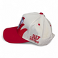 Wisconsin Bucky Bear Shark Tooth Hat
